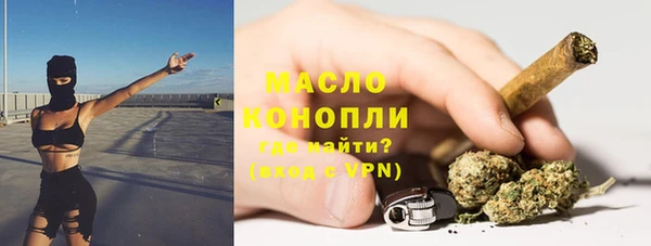 молекула духа Медногорск
