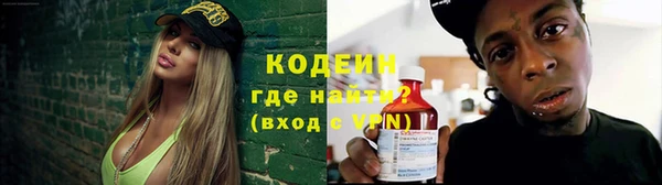 крисы Анива