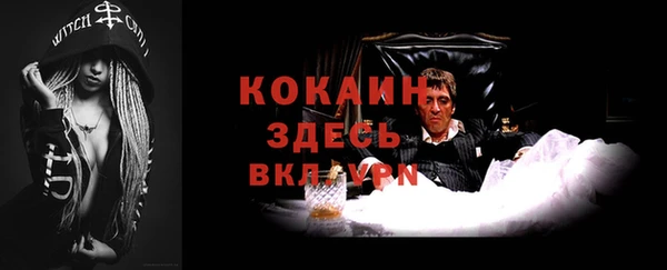 молекула духа Медногорск