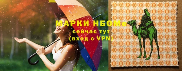 молекула духа Медногорск