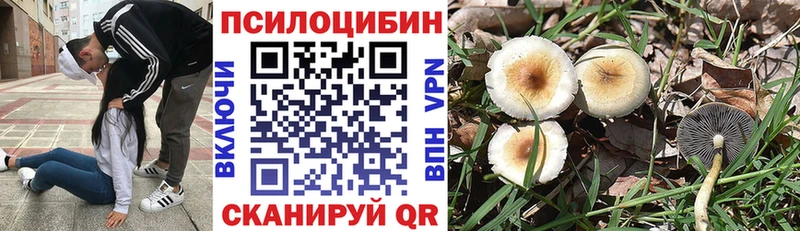 как найти наркотики  Арсеньев  Галлюциногенные грибы MAGIC MUSHROOMS 